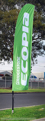 Display Flags