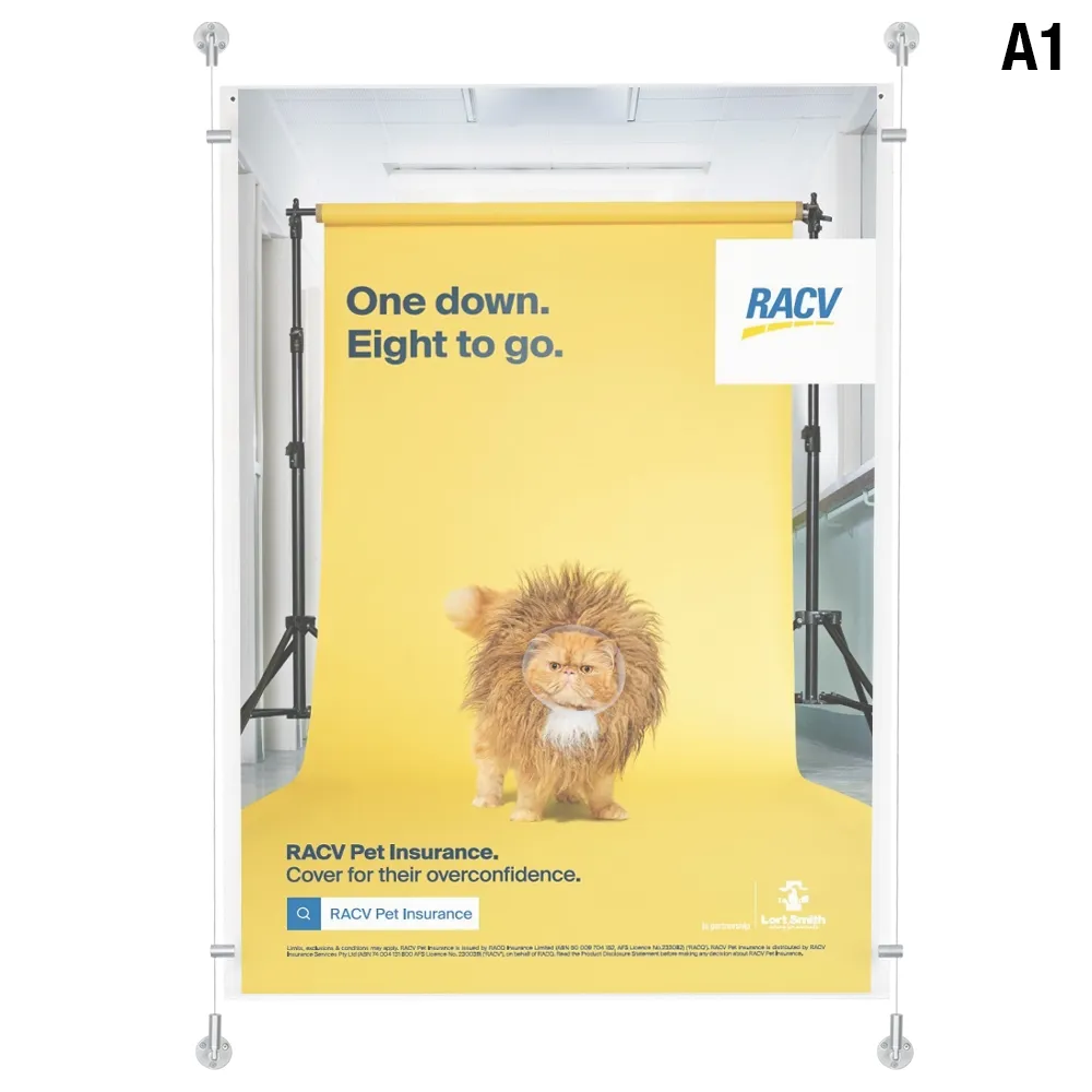 Real Estate Window Display
