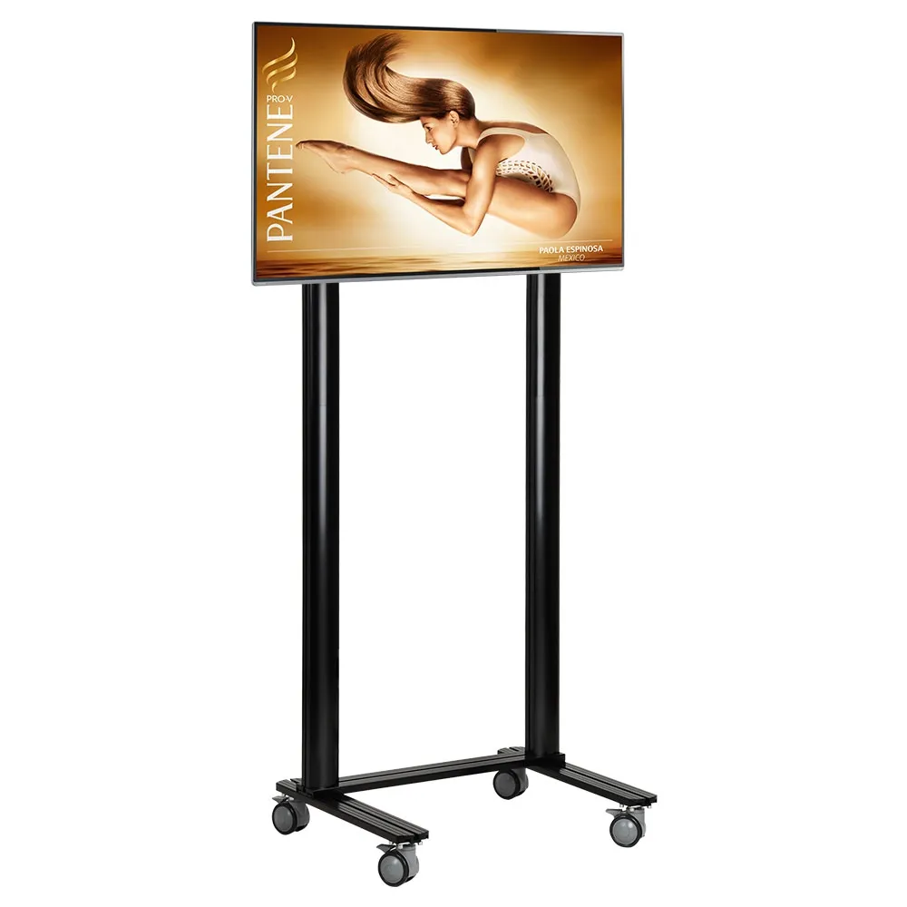 Plasma Floor Stand