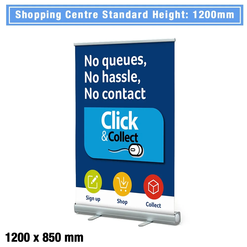 Budget Pull Up Banner