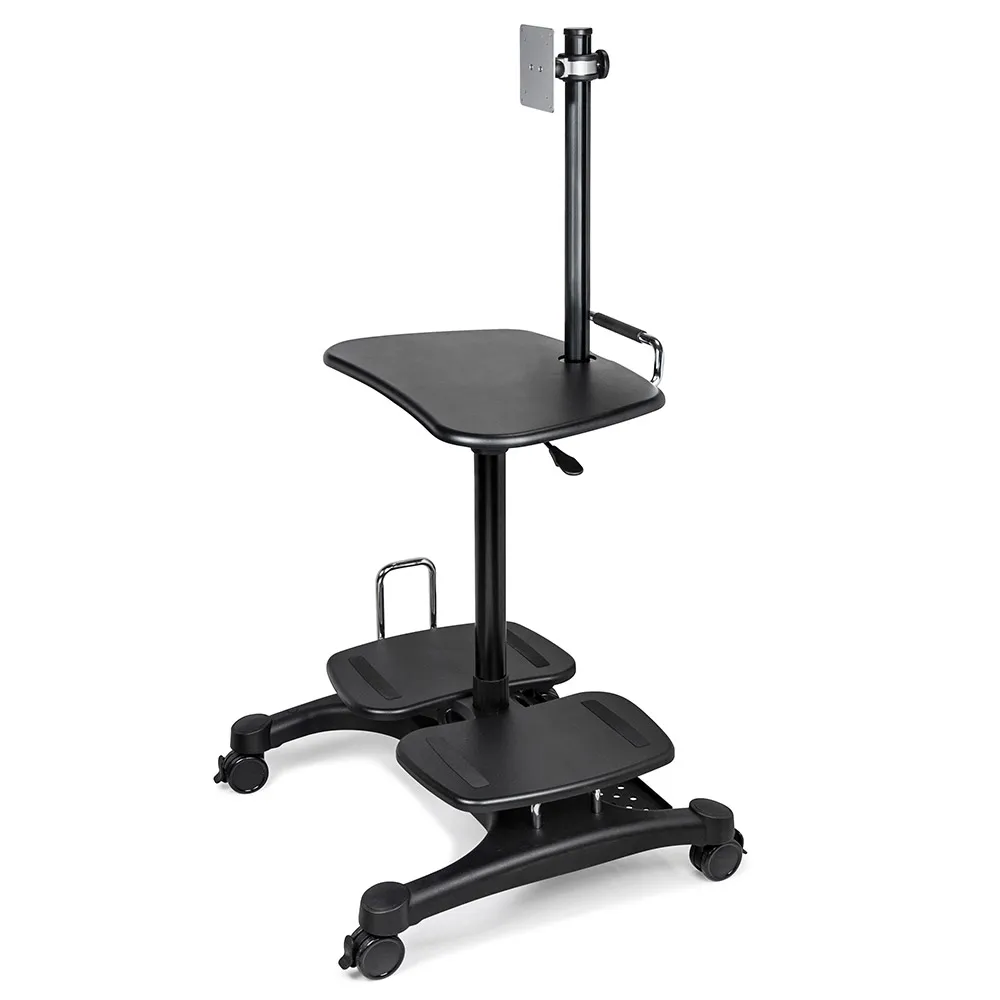 Sit to Stand Workstation