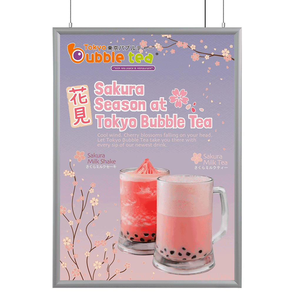Double Sided LED Light Box - A1