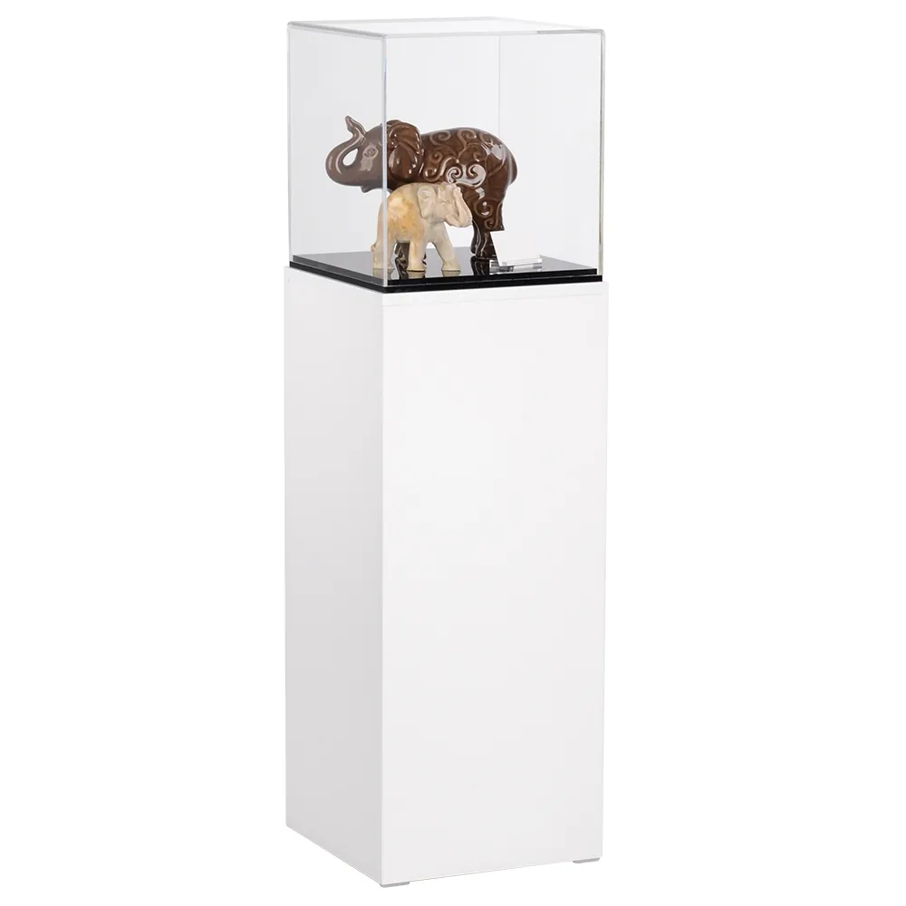 Museum Exhibit Cases