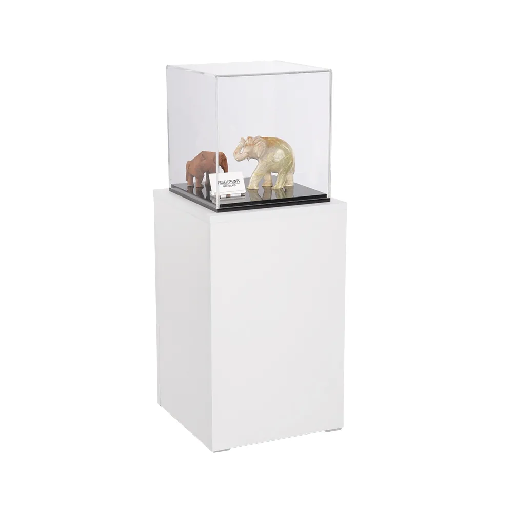 Exhibit Case